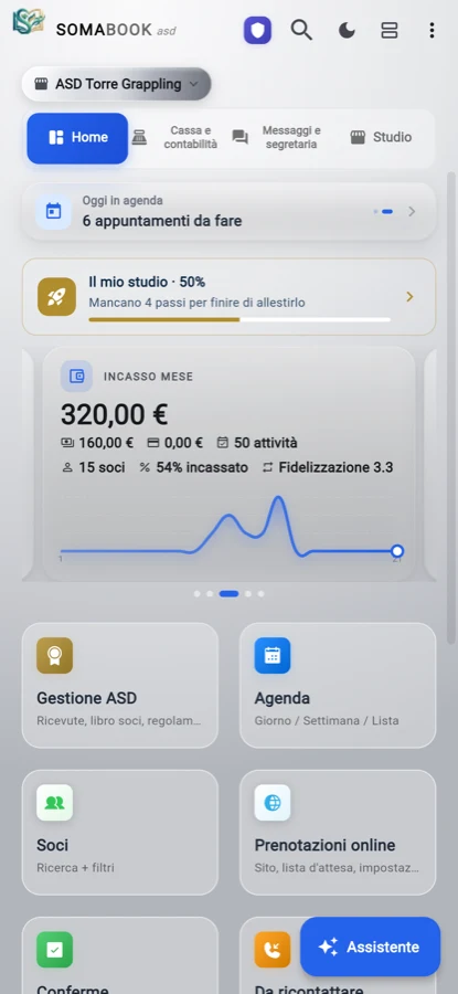 La card dell’incasso del mese dell’associazione con l’andamento giorno per giorno